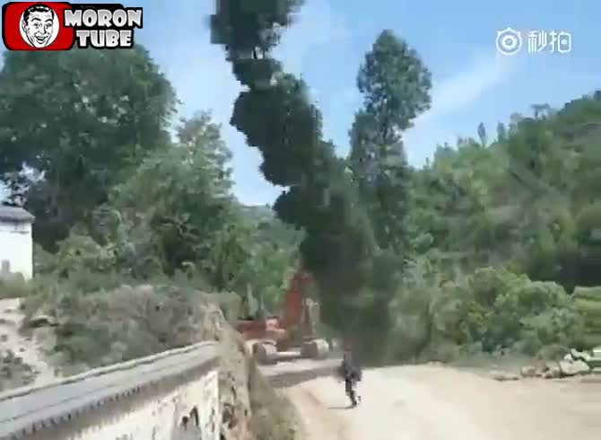 Video :A tree nearly knocks him down